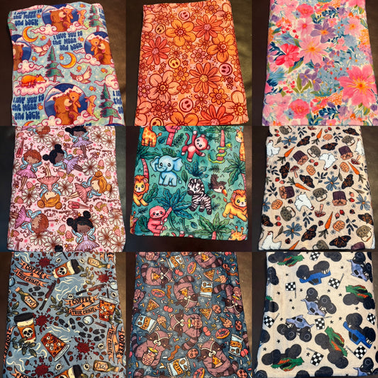 Blanket Destash 50x60 Minky